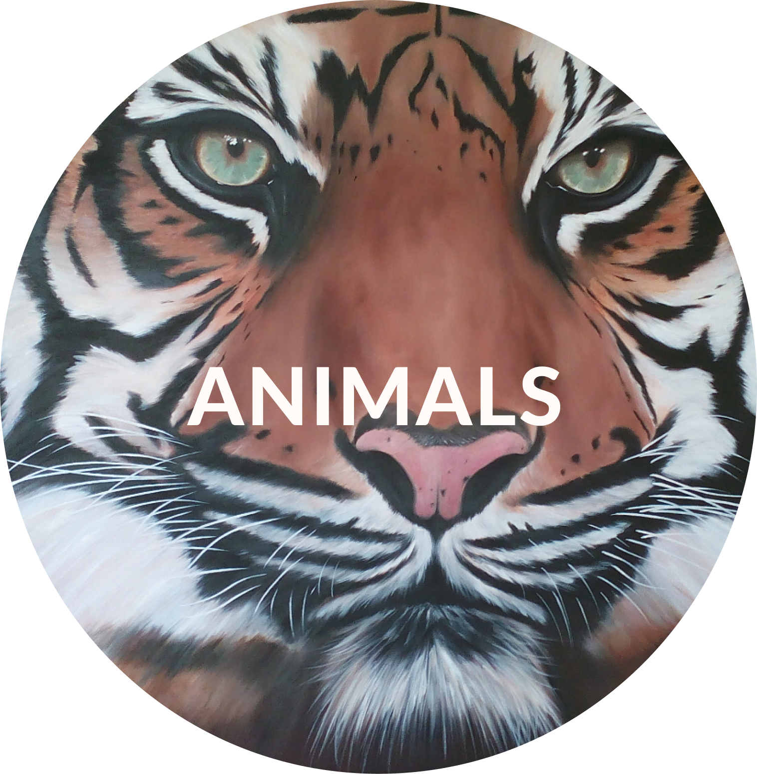 animals