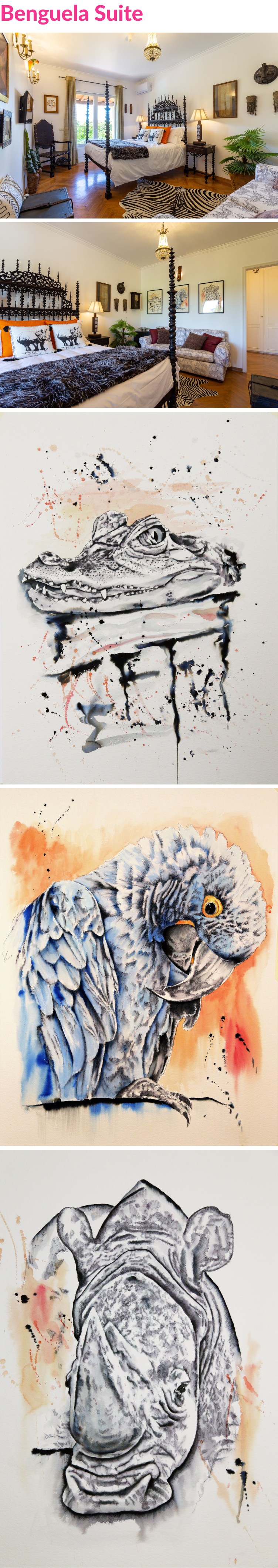 benguelasuite